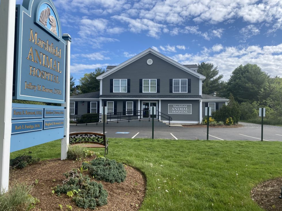 Marshfield Animal Hospital