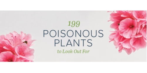199 Poisonous Plants to Look Out For image