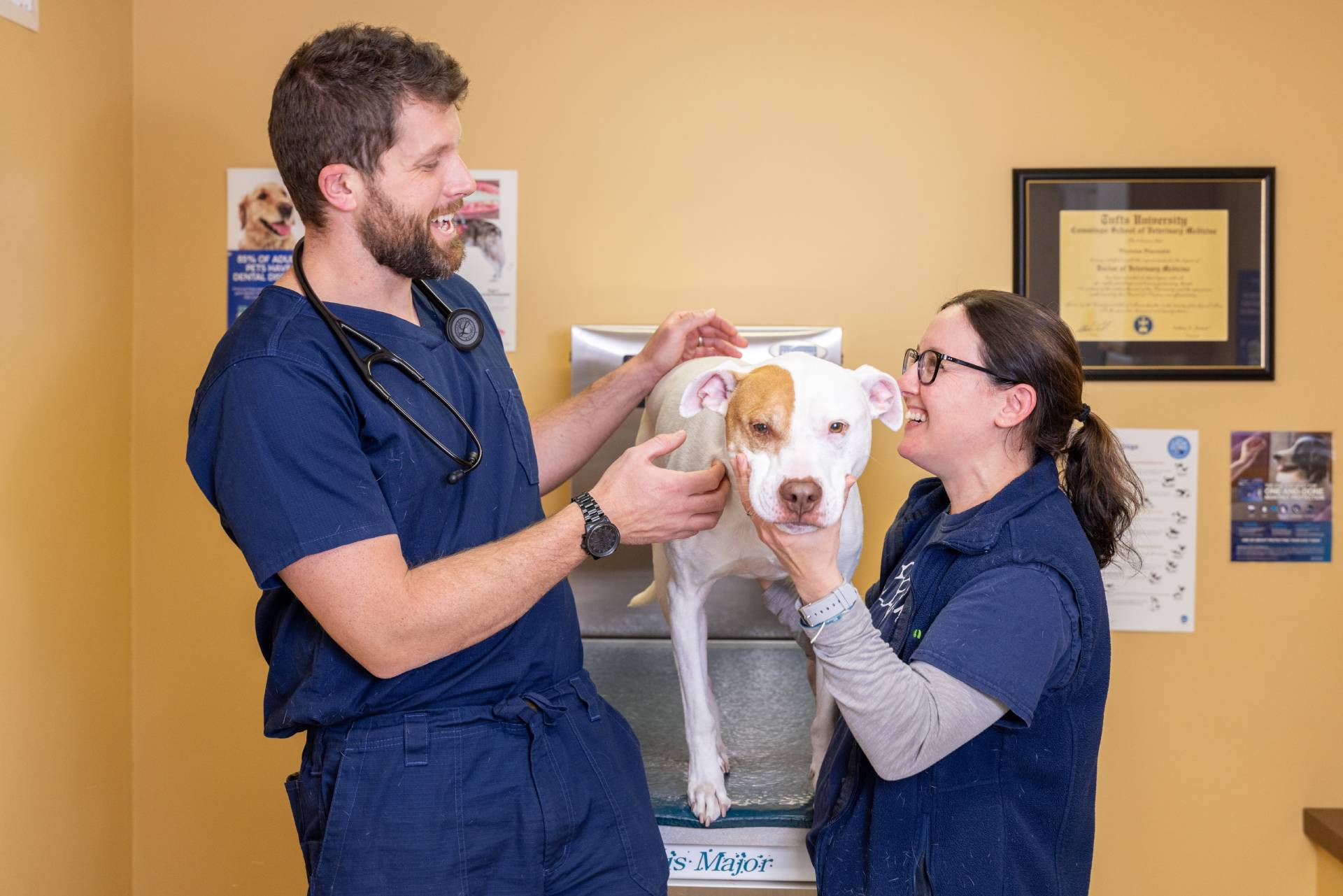 A veterinarian and a woman petting a dog in a cozy room.