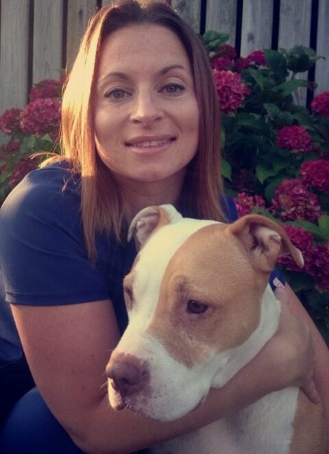 Best Vet Hospital In Marshfield, MA | Marshfield Animal Hospital